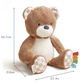 Theo the Bear