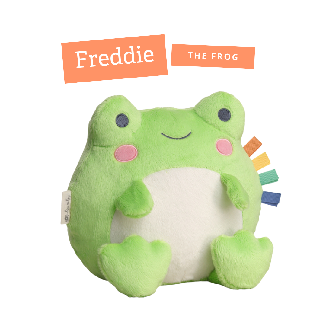 Freddie the Frog