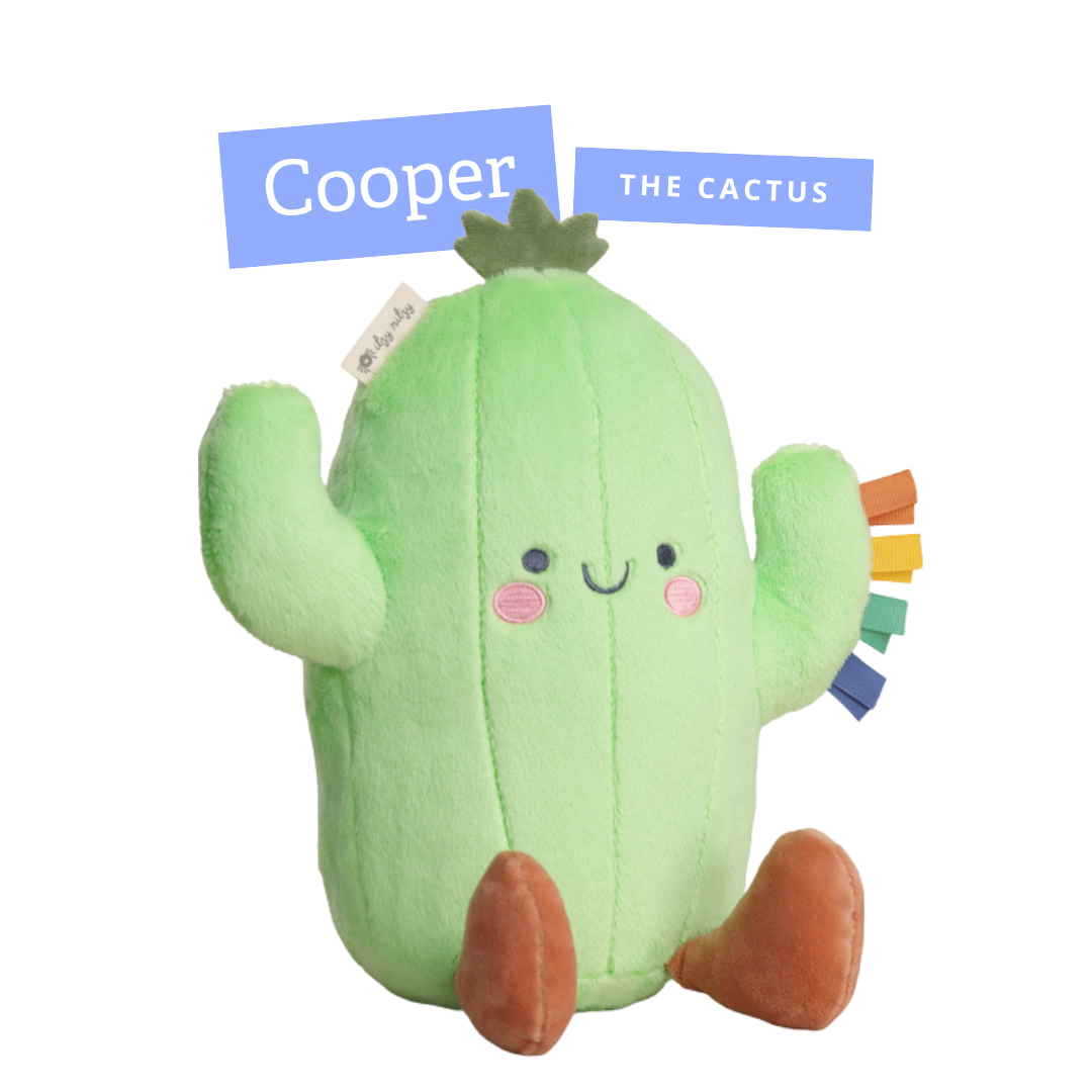 Cooper the Cactus